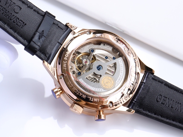 アイ・ダブリュー・シー着用イメージ